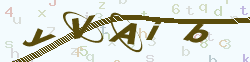 verify_code