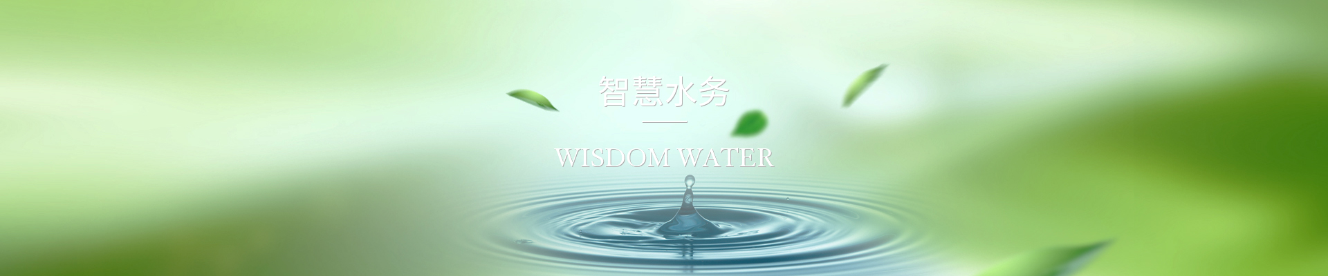 pro-banner