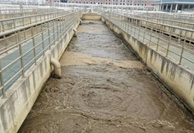 张家界市某污水处置厂氧精准节造...